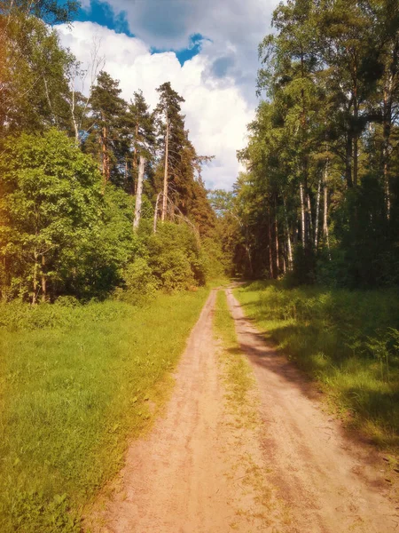 Waldweg Und Blauer Bewölkter Himmel Hintergrund — Stockfoto