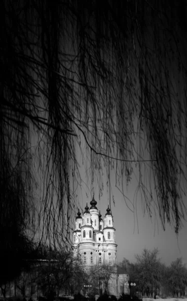 Vinter vy av ortodoxa kyrkan genom grenar. — Stockfoto