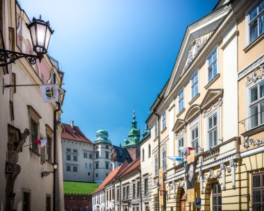 Krakow 'daki Wawel Kalesi