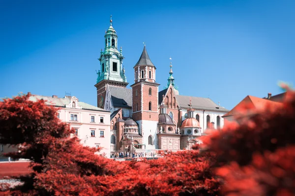 Gamla Wawel katedralen i Krakow — Stockfoto