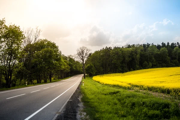 Landweg in zomer veld. — Stockfoto