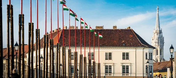 Flagi i budynków na wzgórzu Zamkowym w Budapeszcie. — Zdjęcie stockowe