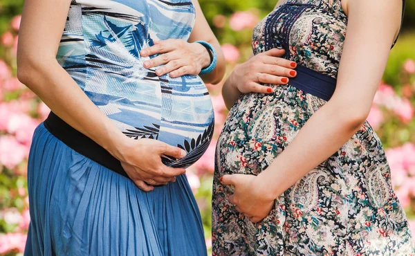 Närbild på två gravida magar utomhus — Stockfoto