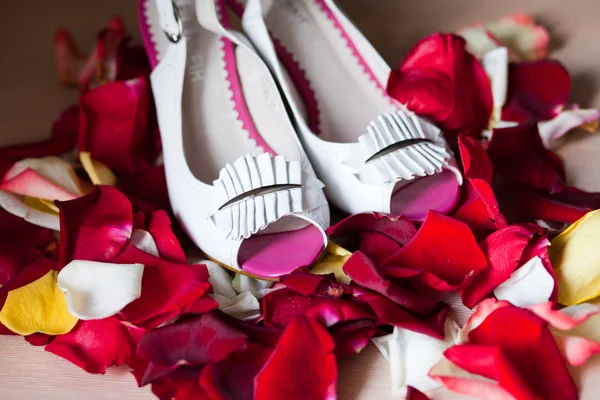 Estate sandalo moda donna su sfondo bianco — Foto Stock