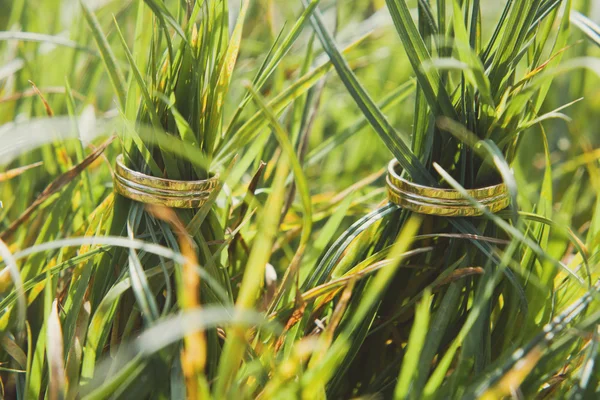 Два золотых обручальных кольца на зеленой траве — стоковое фото