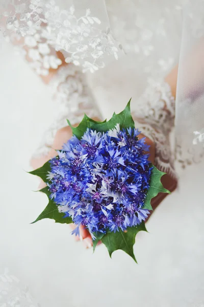 Bruden anläggning bukett av blåklint — Stockfoto