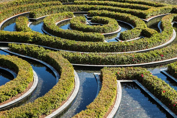 Fragment of wonderful green garden maze during a sunny day. landscape design park