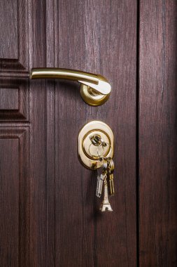 Demir kapı ahşap doku ile stil tutamacı.