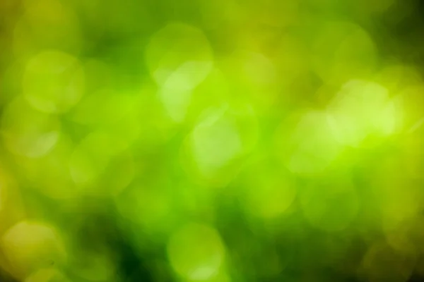 Eco green bokeh blur background. — Stock Photo, Image