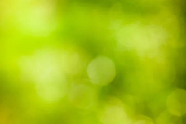 Green nature abstract background — Stock Photo, Image