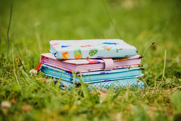 Colorful handmade notebooks lying on the green grass