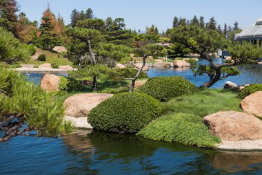 Yaz aylarında güzel Japon yeşil park