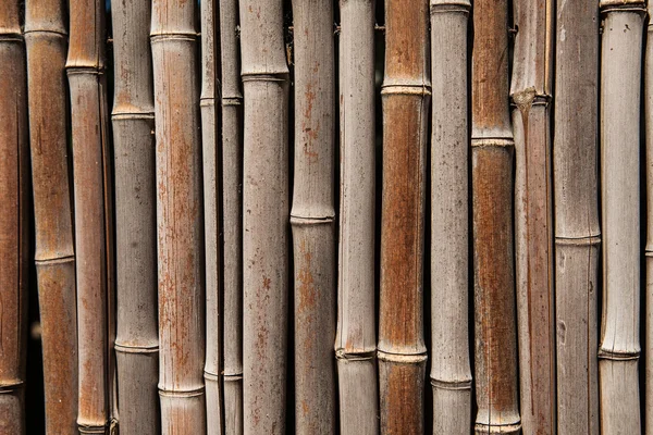 竹のフェンスの背景 — ストック写真