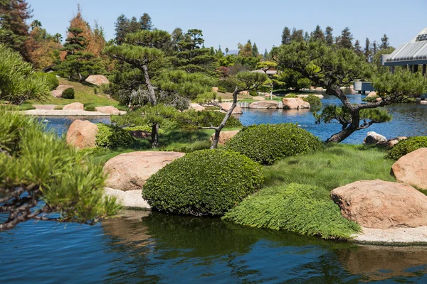 Belo parque verde japonês no tempo de verão — Fotografia de Stock