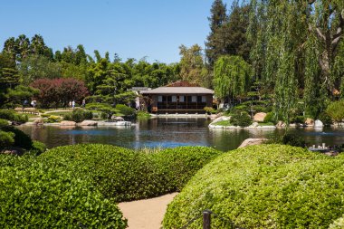 Yaz aylarında güzel Japon yeşil park