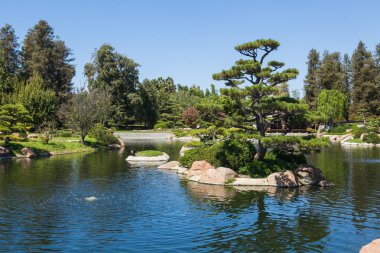 Yaz aylarında güzel Japon yeşil park