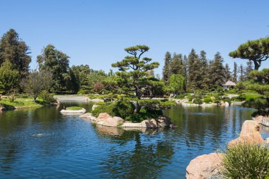 Yaz aylarında güzel Japon yeşil park
