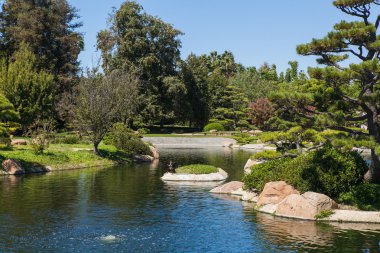Yaz aylarında güzel Japon yeşil park