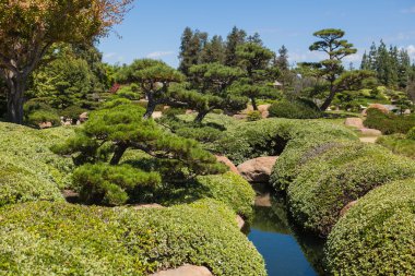 Yaz aylarında güzel Japon yeşil park