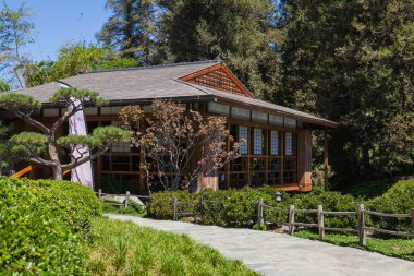 Yaz aylarında güzel Japon yeşil park