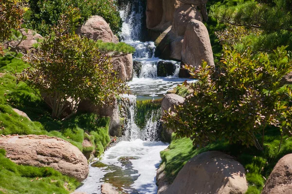 Pequena cachoeira no parque na hora de verão . — Fotografia de Stock