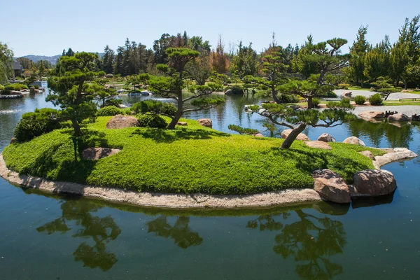 Belo parque verde japonês no tempo de verão — Fotografia de Stock