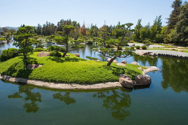 Belo parque verde japonês no tempo de verão — Fotografia de Stock