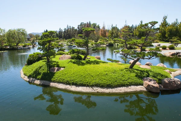 Belo parque verde japonês no tempo de verão — Fotografia de Stock