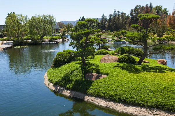 Belo parque verde japonês no tempo de verão — Fotografia de Stock