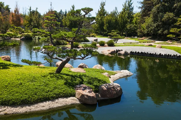 Belo parque verde japonês no tempo de verão — Fotografia de Stock