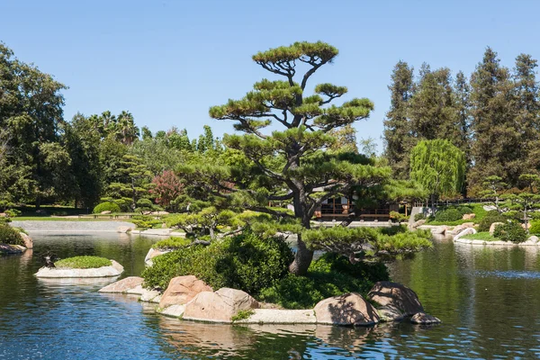 Belo parque verde japonês no tempo de verão — Fotografia de Stock