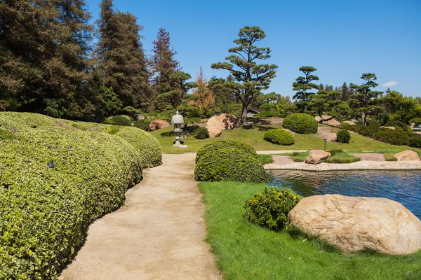Yaz aylarında güzel Japon yeşil park