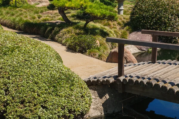 Belo parque verde japonês no tempo de verão — Fotografia de Stock