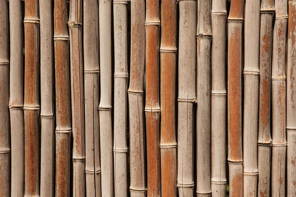 Fondo de valla de bambú —  Fotos de Stock