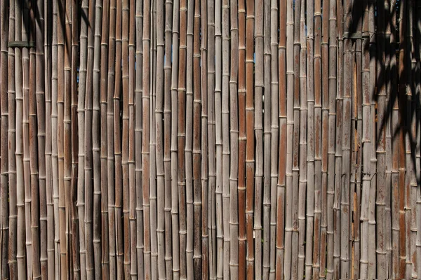 Bamboo fence background — Stock Photo, Image