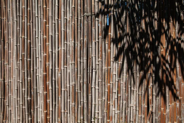 Recinzione di bambù sfondo — Foto Stock