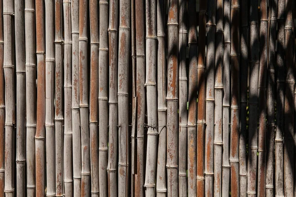 Cerca de bambu fundo — Fotografia de Stock