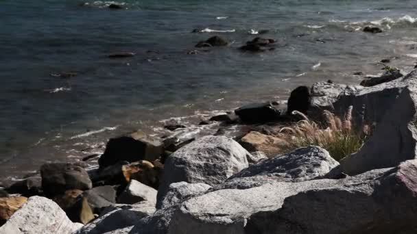 Sten strand eller kusten med vågor av Stilla havet på Malibu, Kalifornien — Stockvideo