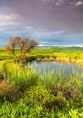 Tuscany yatay, ağaç ve göl