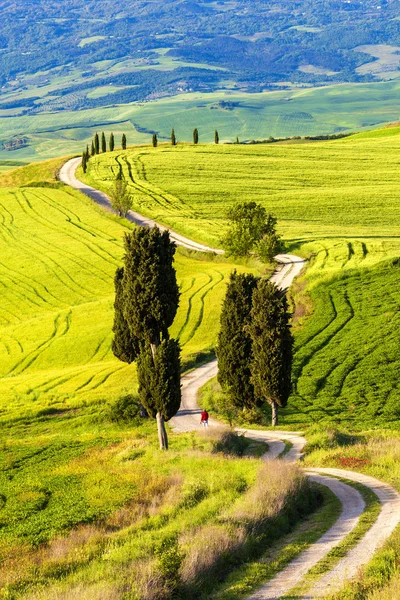 Panorama routier Gladiator en Toscane, Italie — Photo