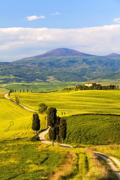 Panorama da estrada Gladiator na Toscana, Itália — Fotografia de Stock