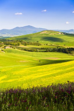 Tuscany kırsal manzara, İtalya