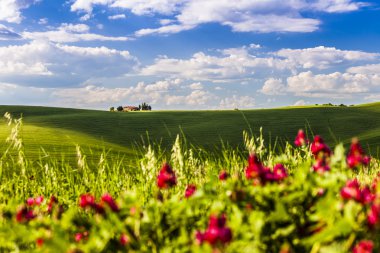 Tuscany kırsal manzara, İtalya
