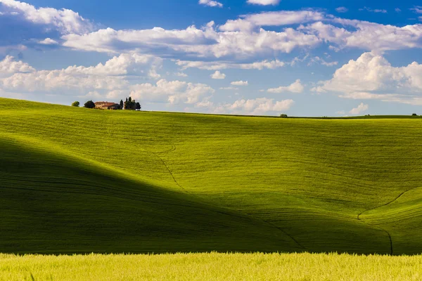 Paysage rural Toscane, Italie — Photo