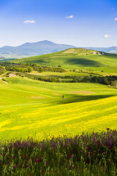 Krajobraz wsi Tuscany, Włochy — Zdjęcie stockowe