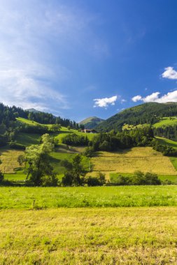 Avusturya Alplerinde manzara