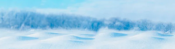 Banner Nevado Invierno Nieve Derrapes Frente Bosque Panorama Fondo —  Fotos de Stock