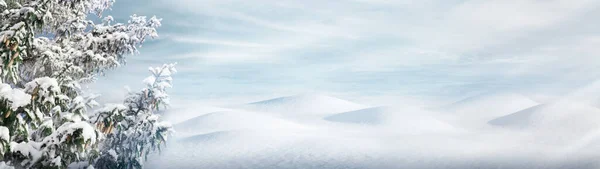 Banner Invierno Fondo Abeto Nieve Las Derivas Cielo Con Nubes —  Fotos de Stock