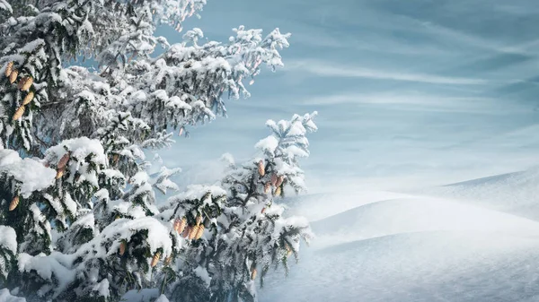 Paisaje Invernal Con Abetos Cubiertos Nieve Ventisqueros —  Fotos de Stock