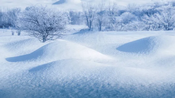 Invierno Fondo Nevado Colinas Árboles Bosque —  Fotos de Stock